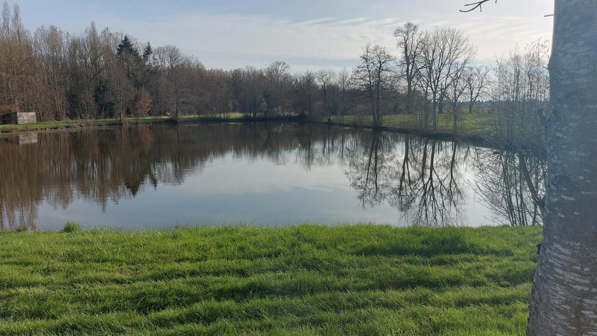 Villa Maella Saint-Michel-Tuboeuf Eksteriør billede